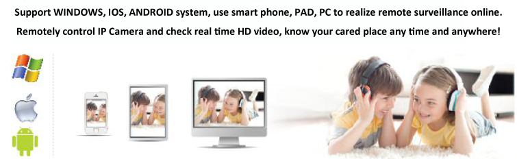 Low Bit Rate Remote Surveillance Software  Introduction1