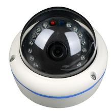 4MP/5MP/8MP/2MP Starlight Outdoor Dome IP Camera