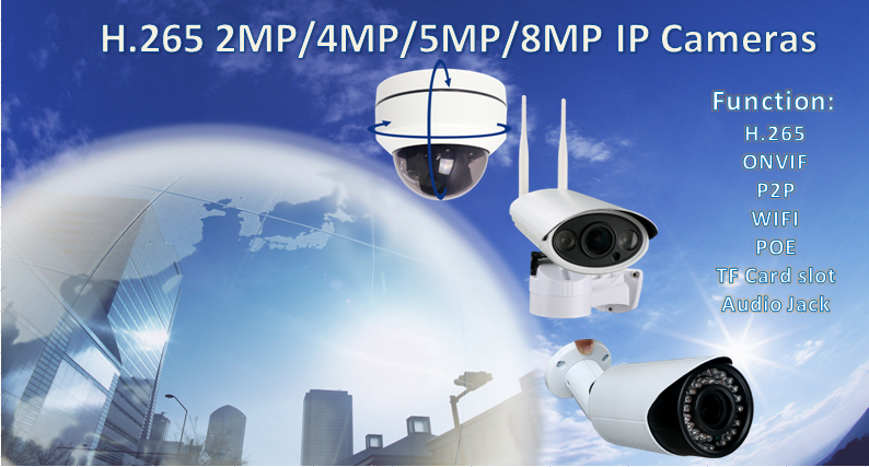 H.265 Surveillance Camera New Listing